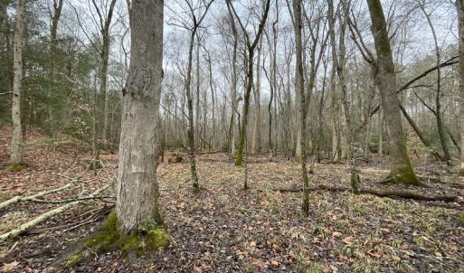 Photo #33 of SOLD property in Off Good Hope Road, Lanexa, VA 26.3 acres