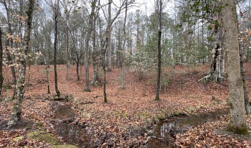 Photo #34 of SOLD property in Off Good Hope Road, Lanexa, VA 26.3 acres