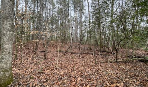 Photo #35 of SOLD property in Off Good Hope Road, Lanexa, VA 26.3 acres