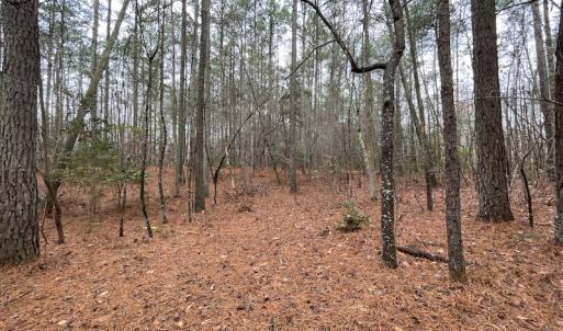 Photo #36 of SOLD property in Off Good Hope Road, Lanexa, VA 26.3 acres