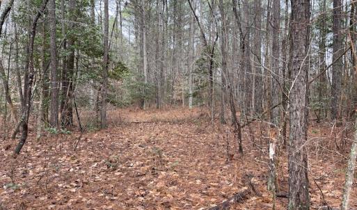 Photo #37 of SOLD property in Off Good Hope Road, Lanexa, VA 26.3 acres