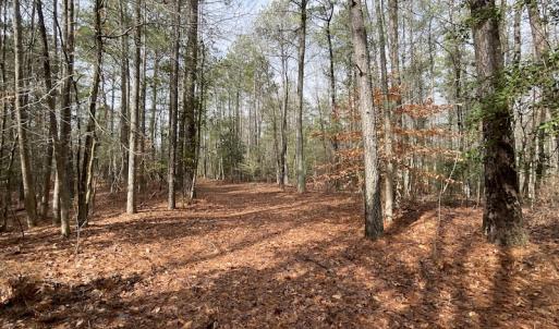 Photo #40 of SOLD property in Off Good Hope Road, Lanexa, VA 26.3 acres