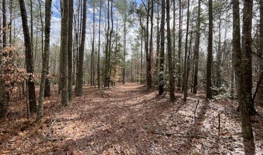 Photo #41 of SOLD property in Off Good Hope Road, Lanexa, VA 26.3 acres