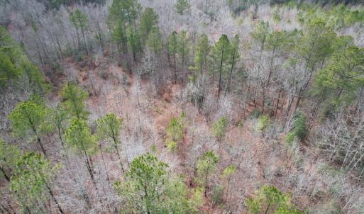 Photo #6 of SOLD property in Off Good Hope Road, Lanexa, VA 26.3 acres
