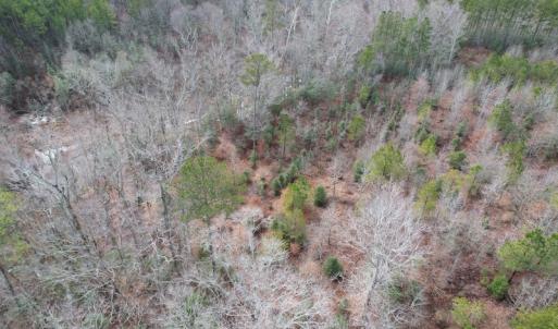 Photo #7 of SOLD property in Off Good Hope Road, Lanexa, VA 26.3 acres