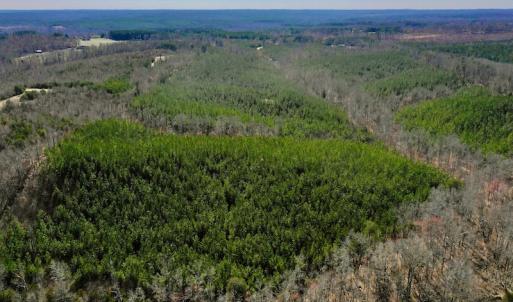 Photo #9 of SOLD property in Off Hog Wallow Road, Nathalie, VA 98.4 acres