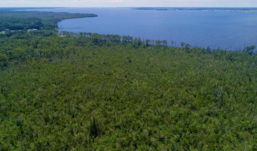 Photo #12 of SOLD property in Off Nc Hwy 158 Causeway, Camden, NC 160.0 acres
