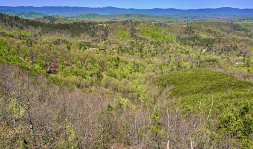Photo #9 of SOLD property in Off Chase Log Road, Stuart, VA 46.4 acres