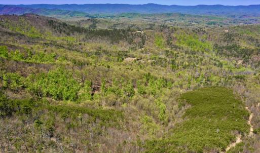 Photo #15 of SOLD property in Off Chase Log Road, Stuart, VA 46.4 acres