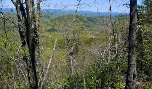Photo #34 of SOLD property in Off Chase Log Road, Stuart, VA 46.4 acres
