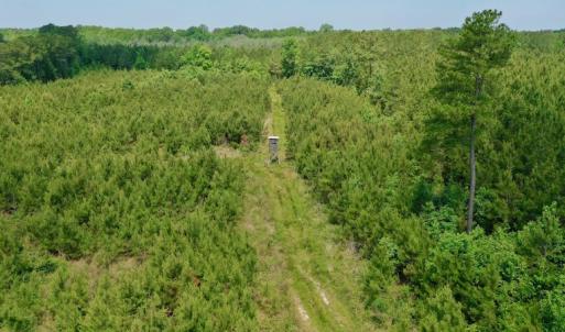Photo #5 of SOLD property in Off Hwy 158, Jackson, NC 57.4 acres