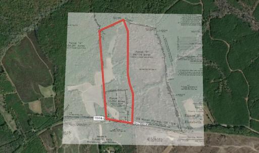 Photo #2 of SOLD property in Off Old Macon Hwy, Macon, NC 42.0 acres