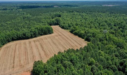 Photo #9 of SOLD property in Off Old Macon Hwy, Macon, NC 42.0 acres