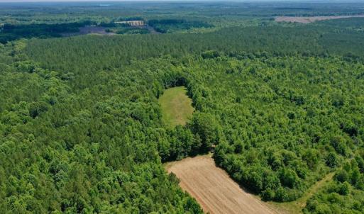 Photo #10 of SOLD property in Off Old Macon Hwy, Macon, NC 42.0 acres