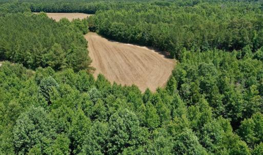 Photo #14 of SOLD property in Off Old Macon Hwy, Macon, NC 42.0 acres