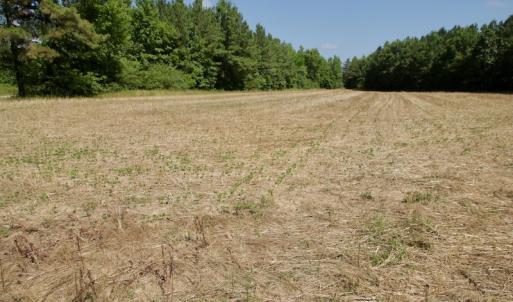 Photo #20 of SOLD property in Off Old Macon Hwy, Macon, NC 42.0 acres