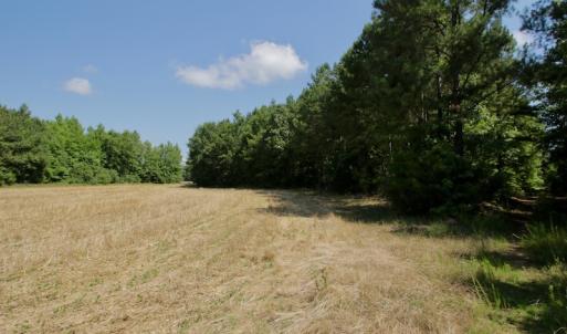 Photo #21 of SOLD property in Off Old Macon Hwy, Macon, NC 42.0 acres