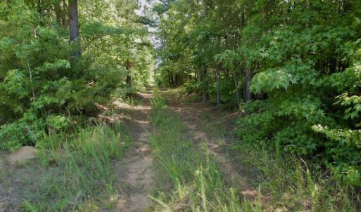 Photo #22 of SOLD property in Off Old Macon Hwy, Macon, NC 42.0 acres