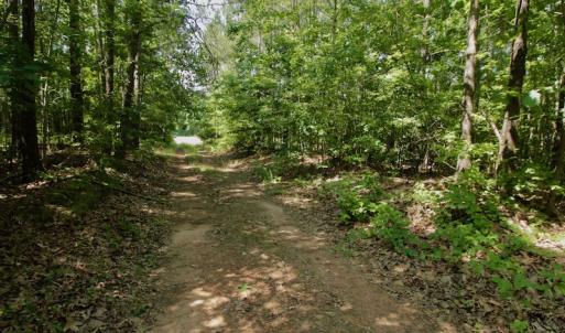 Photo #23 of SOLD property in Off Old Macon Hwy, Macon, NC 42.0 acres
