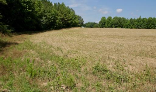 Photo #26 of SOLD property in Off Old Macon Hwy, Macon, NC 42.0 acres
