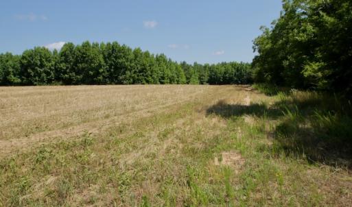 Photo #27 of SOLD property in Off Old Macon Hwy, Macon, NC 42.0 acres