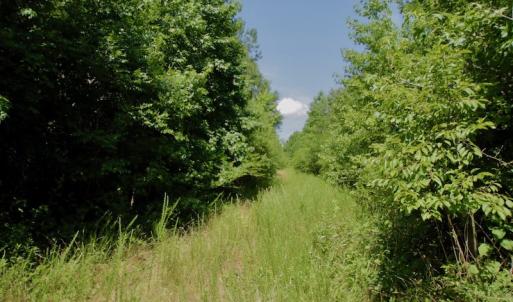 Photo #32 of SOLD property in Off Old Macon Hwy, Macon, NC 42.0 acres