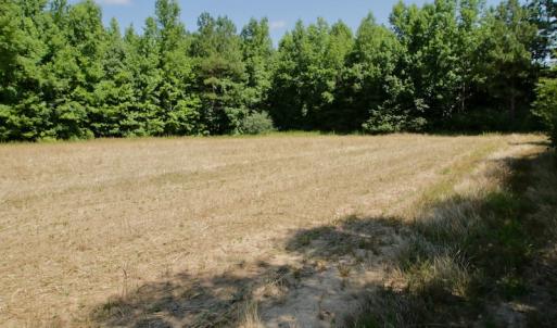 Photo #33 of SOLD property in Off Old Macon Hwy, Macon, NC 42.0 acres