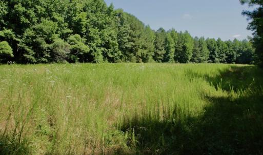 Photo #36 of SOLD property in Off Old Macon Hwy, Macon, NC 42.0 acres