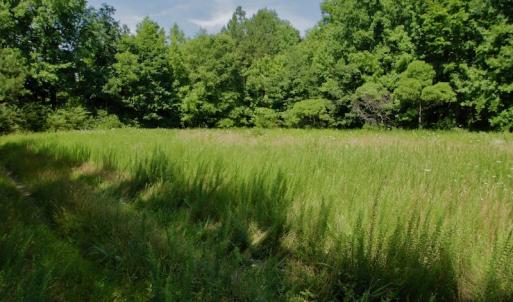 Photo #38 of SOLD property in Off Old Macon Hwy, Macon, NC 42.0 acres