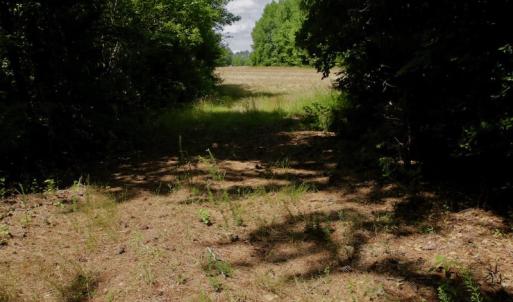 Photo #39 of SOLD property in Off Old Macon Hwy, Macon, NC 42.0 acres
