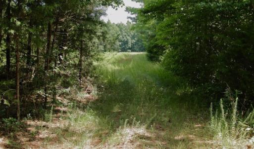 Photo #40 of SOLD property in Off Old Macon Hwy, Macon, NC 42.0 acres