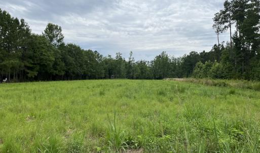 Photo #2 of SOLD property in 2003 Irvin Enzor Road N, Fair Bluff, NC 11.0 acres