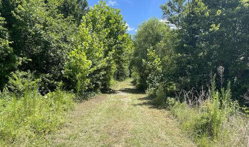 Photo #20 of SOLD property in Off Old Stage Road, Dinwiddie, VA 107.0 acres