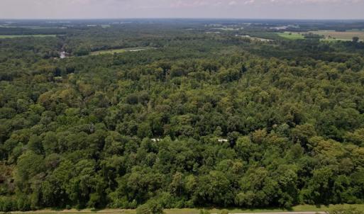Photo #7 of SOLD property in Off Hwy 123 North, Hookerton, NC 89.0 acres