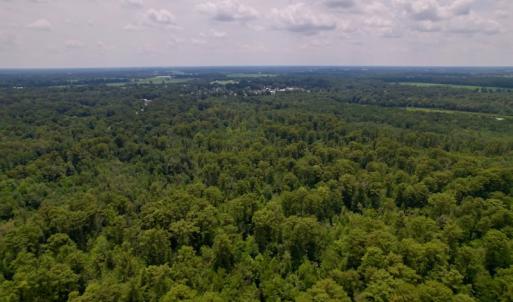 Photo #12 of SOLD property in Off Hwy 123 North, Hookerton, NC 89.0 acres