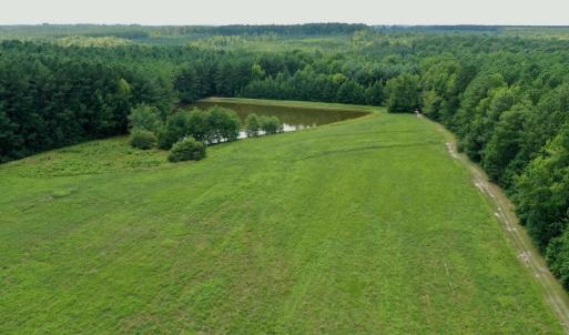 Photo #3 of SOLD property in 1227 Weavers Chapel Road, Littleton, NC 30.5 acres