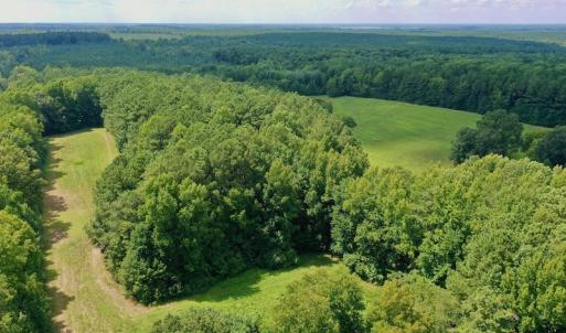 Photo #6 of SOLD property in 1227 Weavers Chapel Road, Littleton, NC 30.5 acres