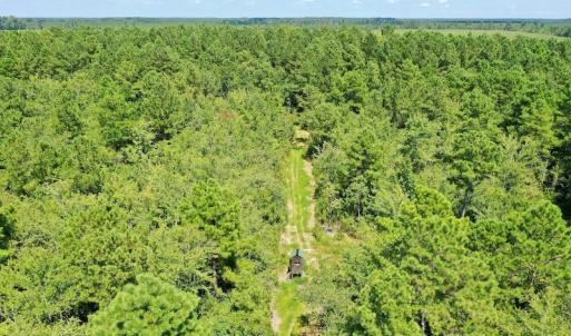 Photo #34 of SOLD property in Off Dixon Road, Bethel, NC 33.0 acres