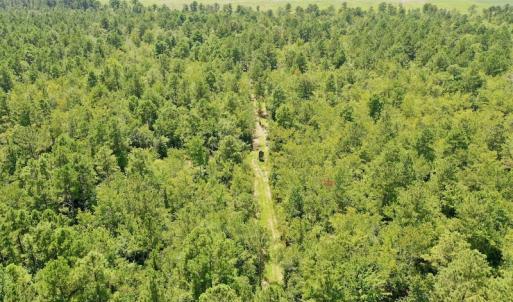 Photo #38 of SOLD property in Off Dixon Road, Bethel, NC 33.0 acres