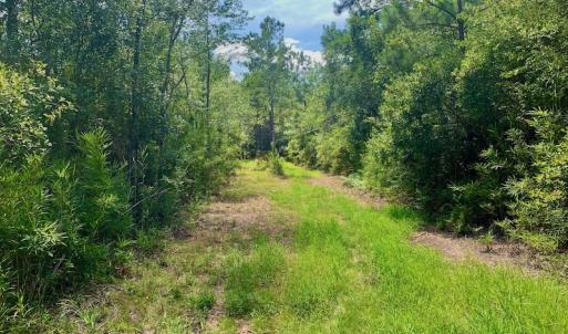 Photo #9 of SOLD property in Off Dixon Road, Bethel, NC 33.0 acres