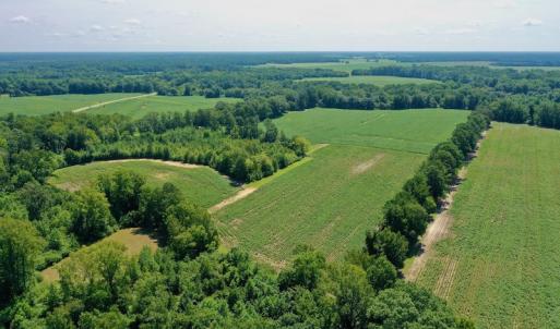 Photo #6 of SOLD property in Off Hwy 903, Scotland Neck, NC 26.7 acres