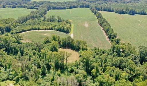Photo #18 of SOLD property in Off Hwy 903, Scotland Neck, NC 26.7 acres