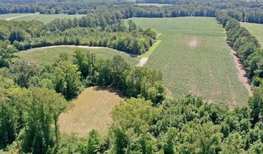 Photo #22 of SOLD property in Off Hwy 903, Scotland Neck, NC 26.7 acres