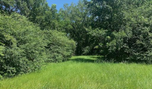Photo #29 of SOLD property in Off Hwy 903, Scotland Neck, NC 26.7 acres