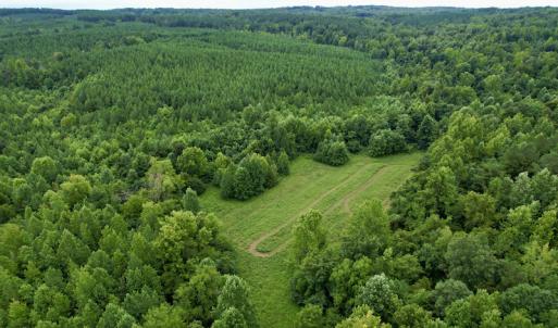 Photo #33 of SOLD property in 2000 Watts Trail, Virgilina, VA 107.9 acres