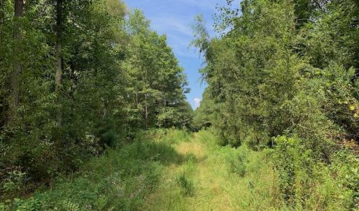 Photo #31 of SOLD property in 653 Jones White Road, Roper, NC 46.8 acres