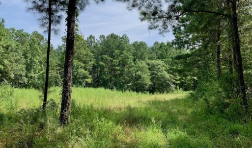 Photo #35 of SOLD property in 653 Jones White Road, Roper, NC 46.8 acres