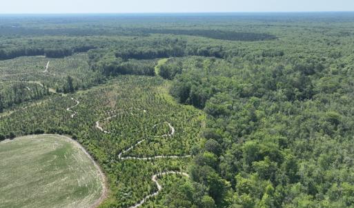 Photo #2 of Off 1307 San Souci Road, Windsor, NC 233.5 acres