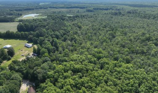 Photo #3 of Off 1307 San Souci Road, Windsor, NC 233.5 acres