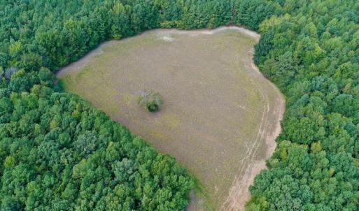 Photo #6 of SOLD property in Off Peter Stallings Road, Macon, NC 187.0 acres